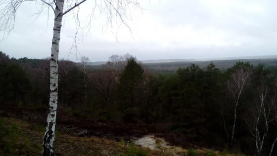 Panorama