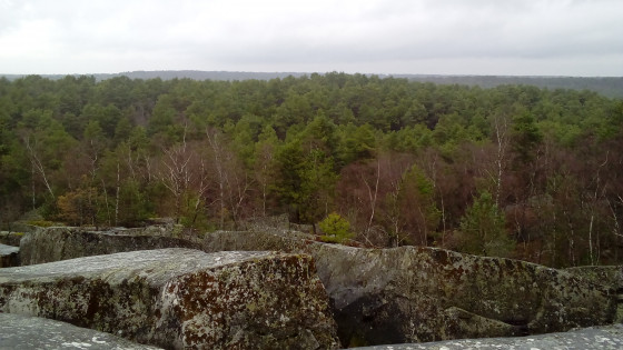 Panorama