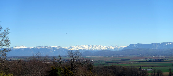 Panorama