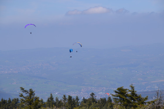 Panorama