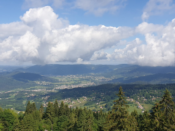 Panorama