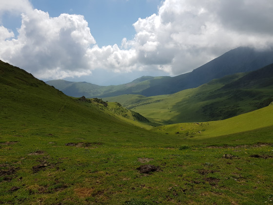Panorama