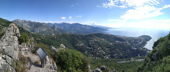 Panorama