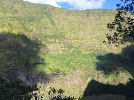 Panoramas