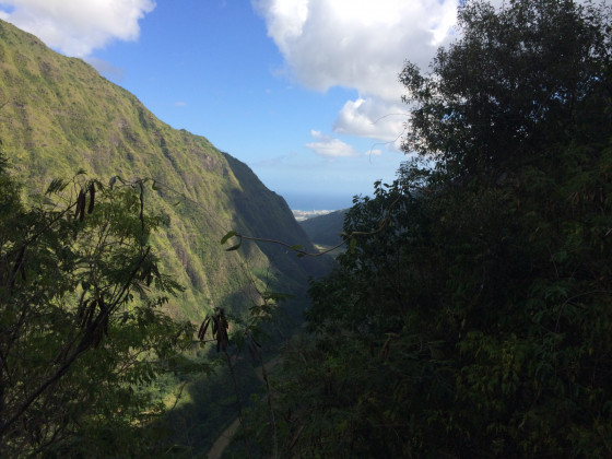 Panoramas