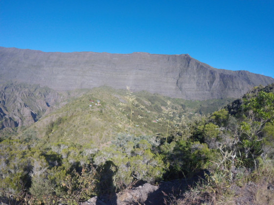 Panoramas