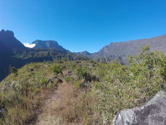 Panoramas
