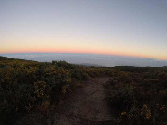 Panoramas
