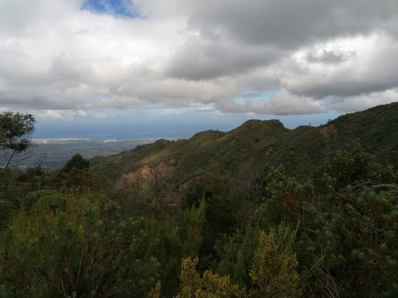 Panoramas