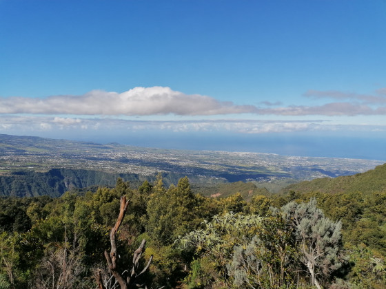 Panoramas