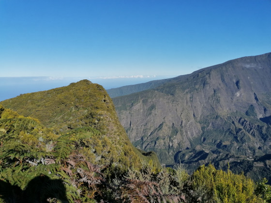 Panoramas