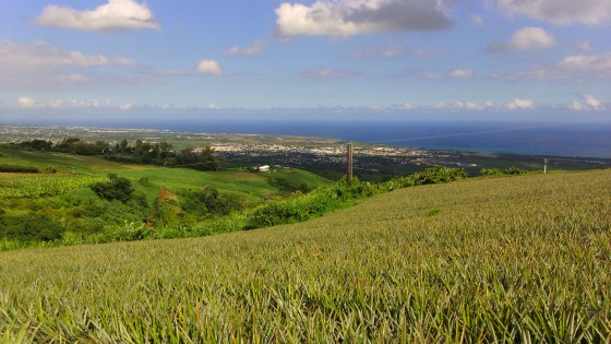 Panoramas