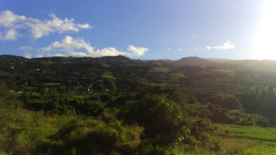 Panoramas