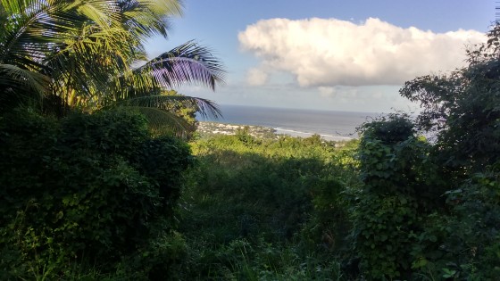 Panoramas