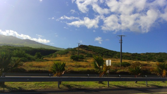 Panoramas