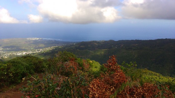 Panoramas