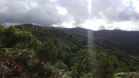 Panoramas