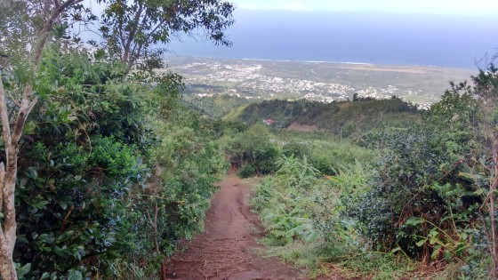 Panoramas