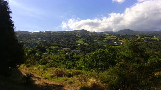 Panoramas