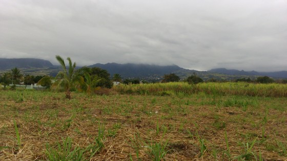 Panoramas