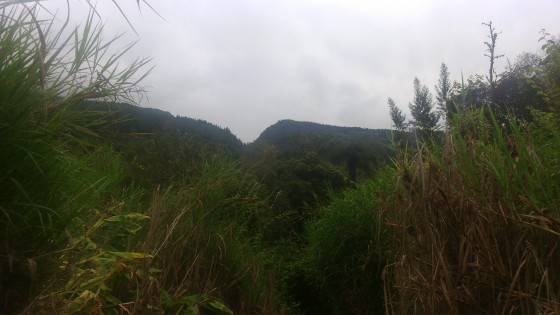 Panoramas