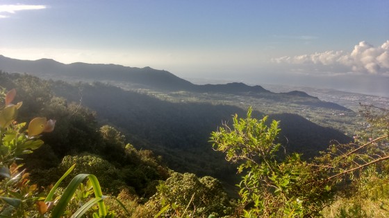 Panoramas