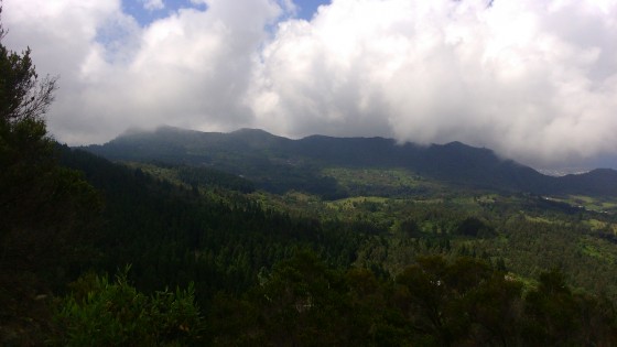 Panoramas