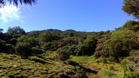 Panoramas