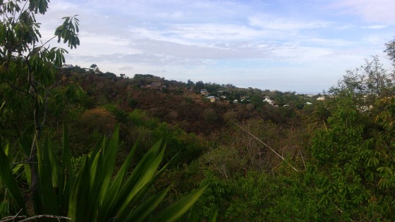 Panoramas