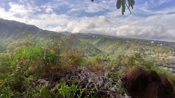Panoramas