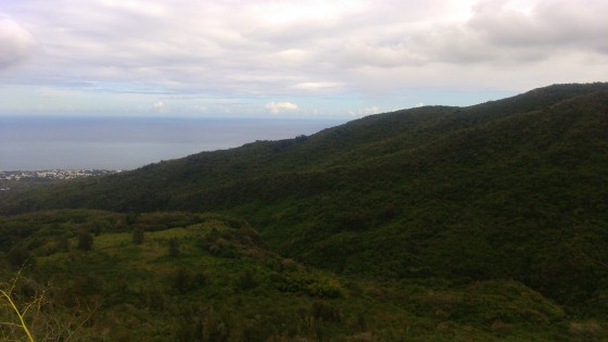 Panoramas