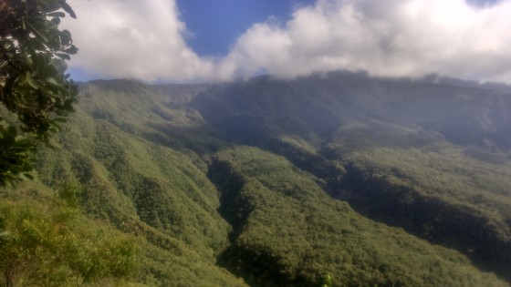 Panoramas