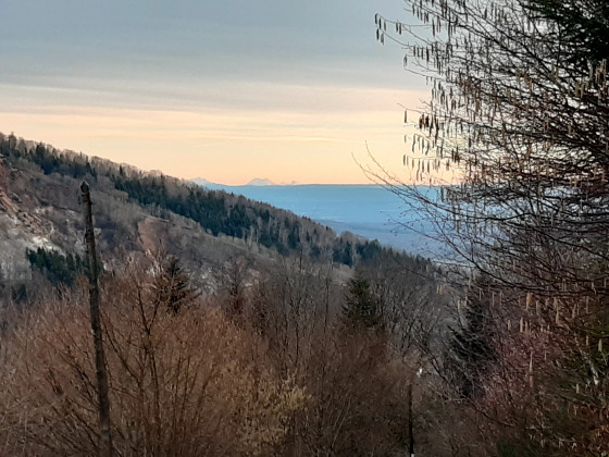Panorame sur Jura et Alpes Suisses