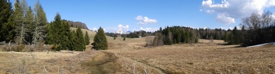 Panoramique de la tourbière