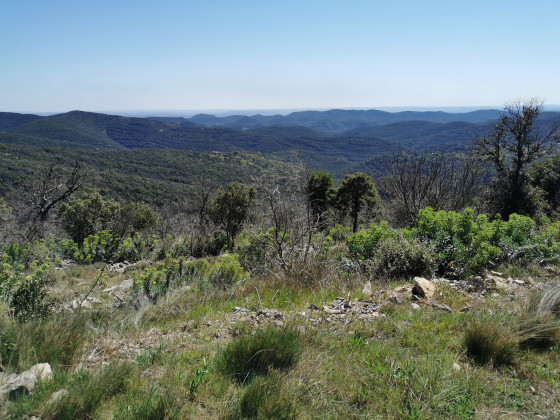 Panoramique des C&eacute;vennes