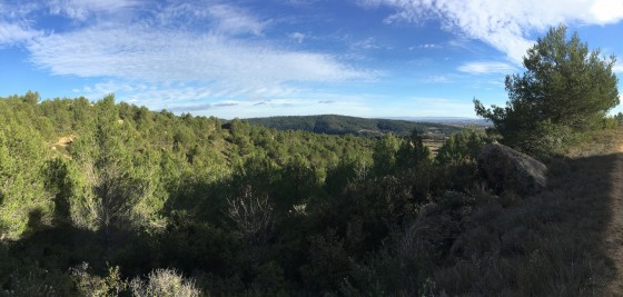Panoramique
