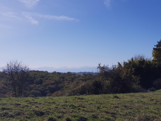 Panoramique
