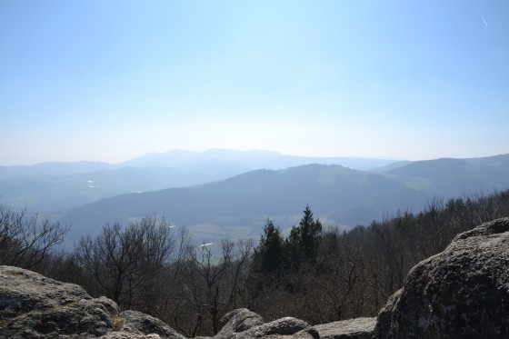 Panoramique