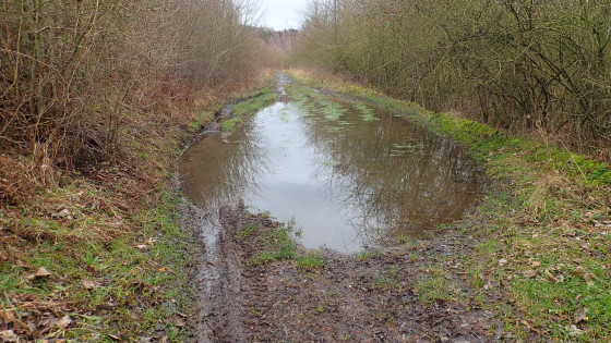 par temps de pluie