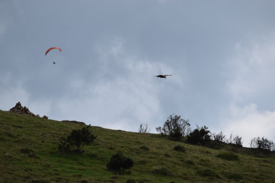Parapente