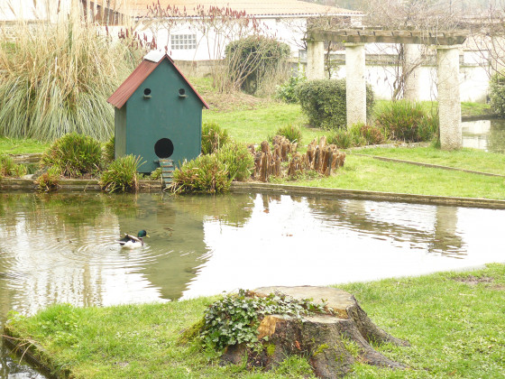 Parc Aigue Flore