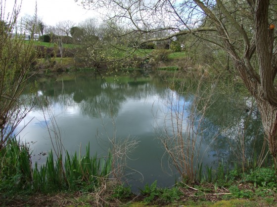 Parc botanique de l'Espace Raphalen