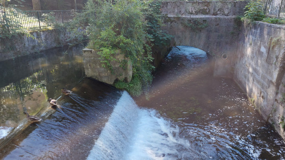 Parc de Chantemerle