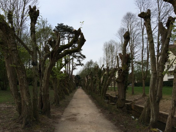 Parc de Grande Maison