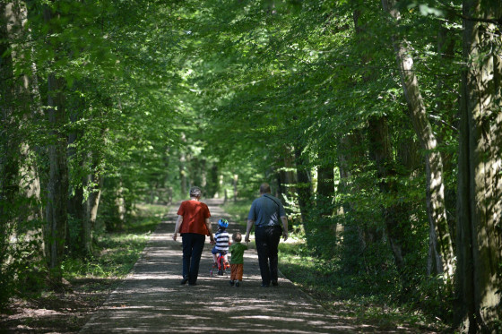 Parc de l'Abbaye de Liessies