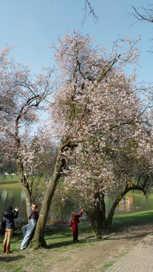 Parc de la Woluwe