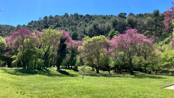Parc de Saint-Pons