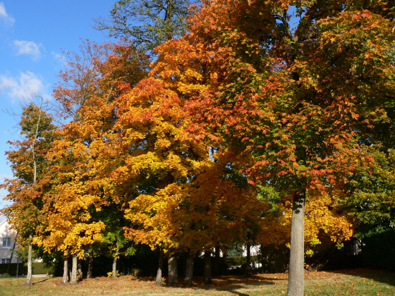Parc de Verdigné