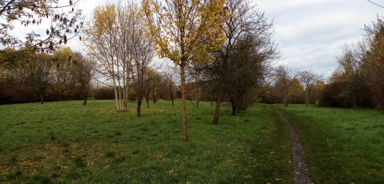 Parc des Gallicourts