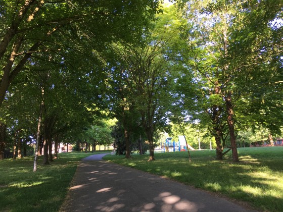 Parc des Vassaules